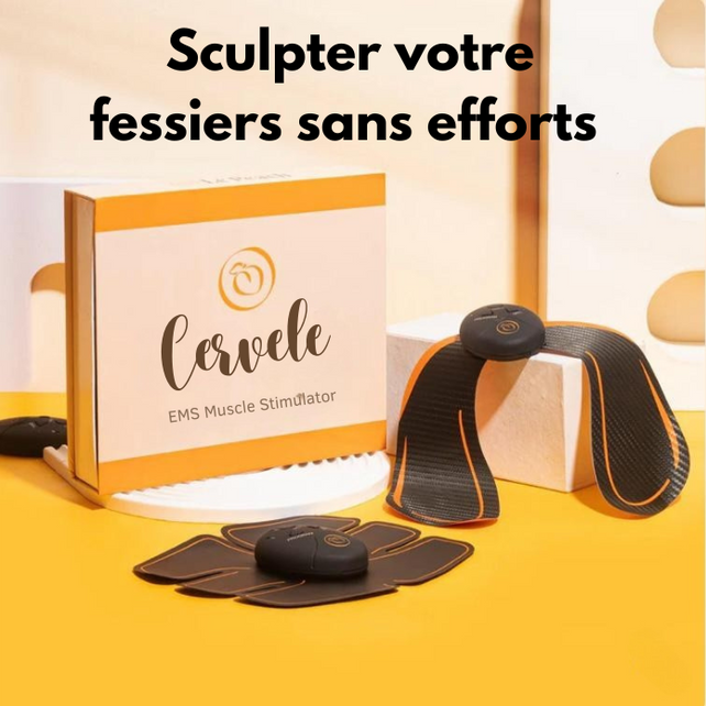 Sculpteur de Fessiers EMS